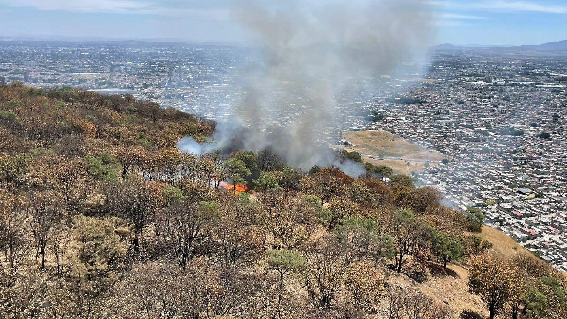 Incendio bosque de El Colli